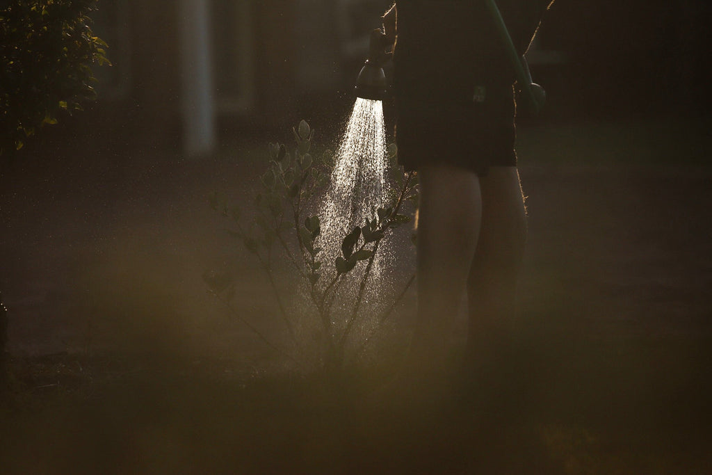 Here's What's Happened in Water News This Past Week