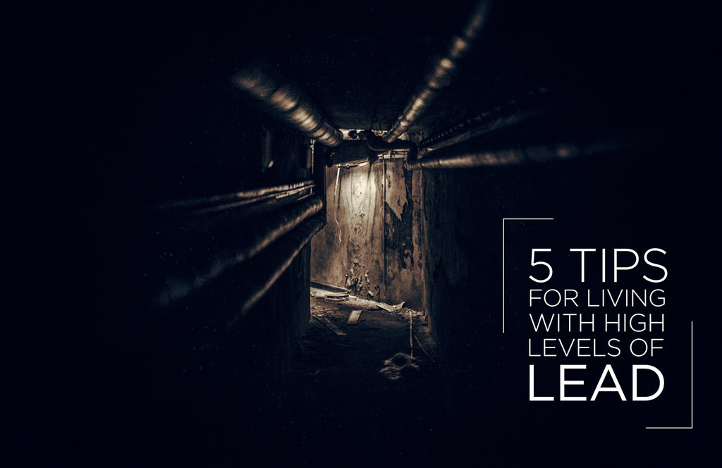 5 Tips for Living with High Levels of Lead