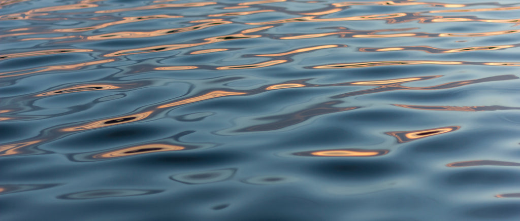 How is Tap Water Made?
